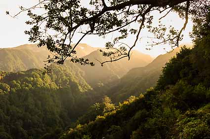 3 - 4 Levada do Rei