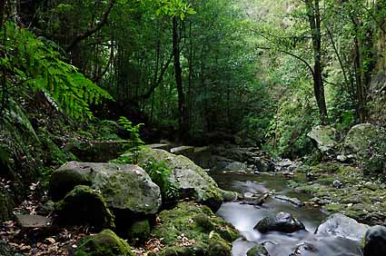 4 - 4 Levada do Rei