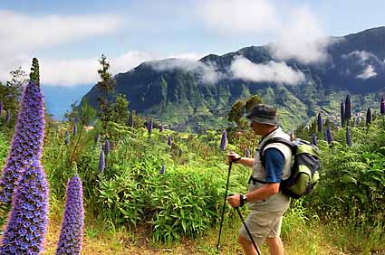 1 - 8 Your Choice - Any Hike