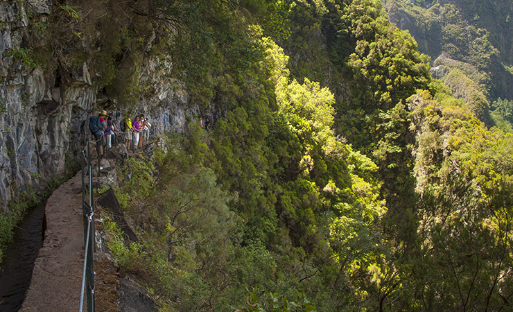 Levada Caldeirão Verde Queimadas, Santana