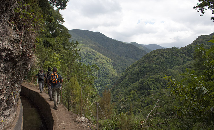 Levada Ribeira Janela Galhano, Paúl da Serra