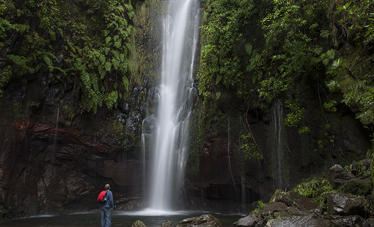 Levada Risco & 25 Fontes Rabaçal, Calheta
